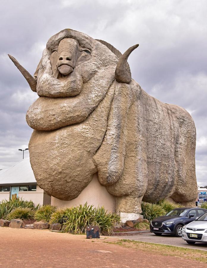 Goulburn Motor Inn מראה חיצוני תמונה